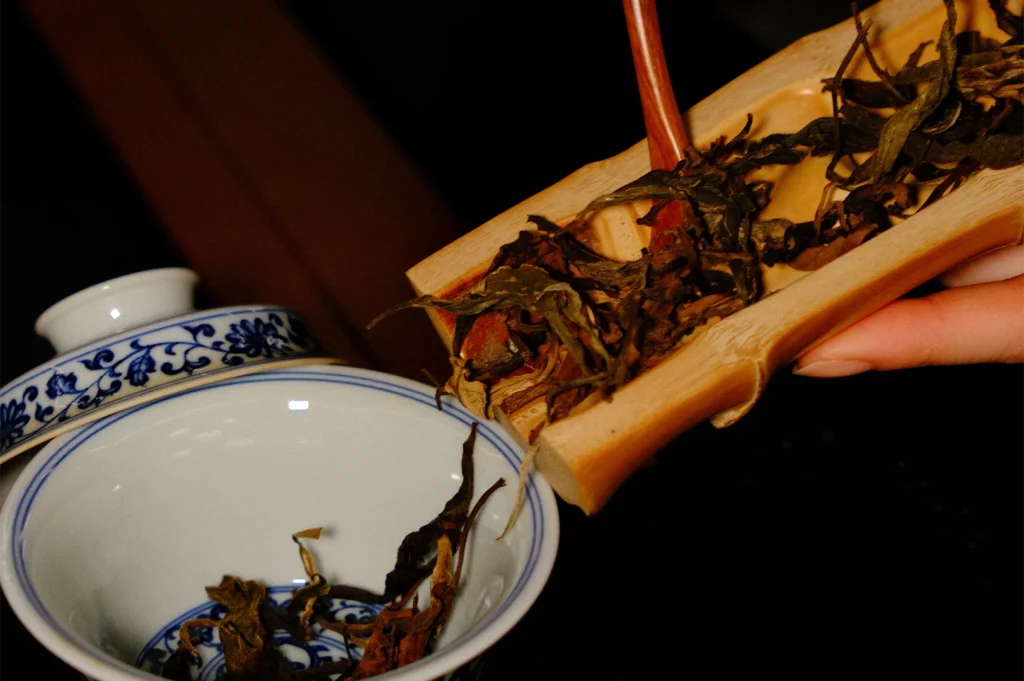 A person using a bamboo tool to carefully slide dried tea leaves from a bamboo holder into a traditional blue and white porcelain gaiwan.