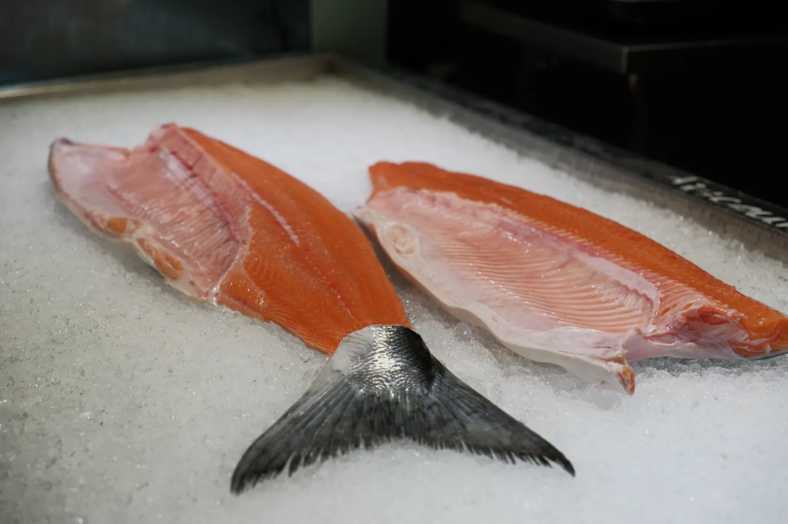 Two fillets of salmon resting on a bed of ice.