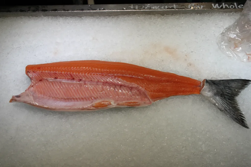 A whole fillet of bright orange salmon resting on ice.