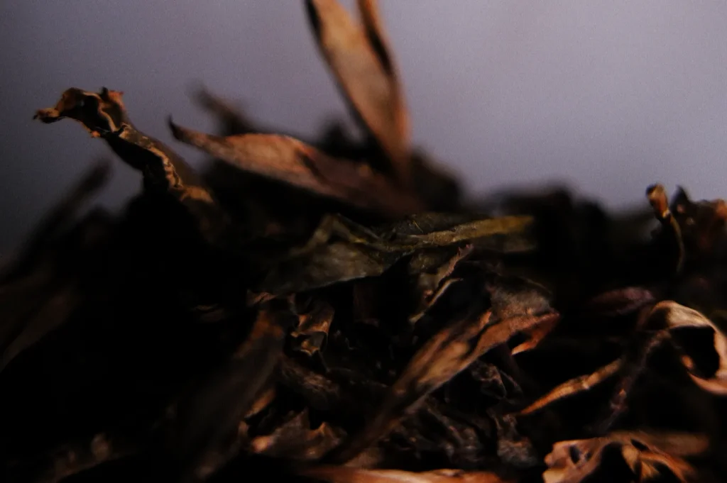 Close-up of dark, curled dried tea leaves with warm copper highlights against a soft gray background, creating a moody, earthy still life.